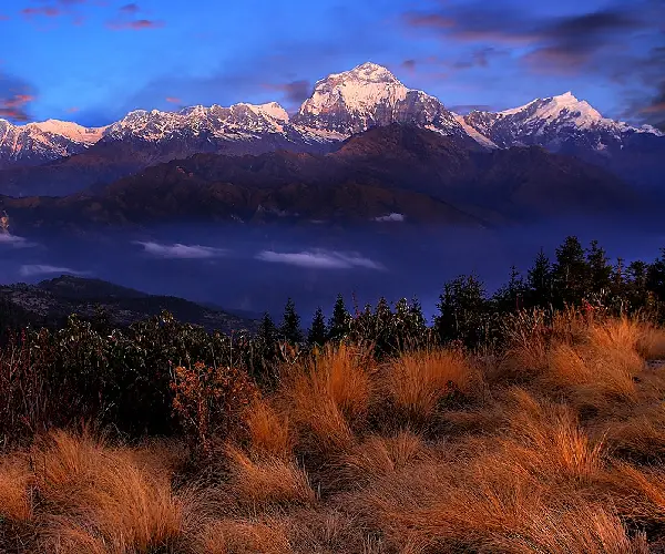 Ghorepani Poon Hill Trek