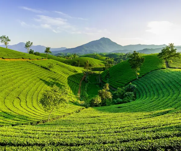 Hanoi – Halong Bay Tour
